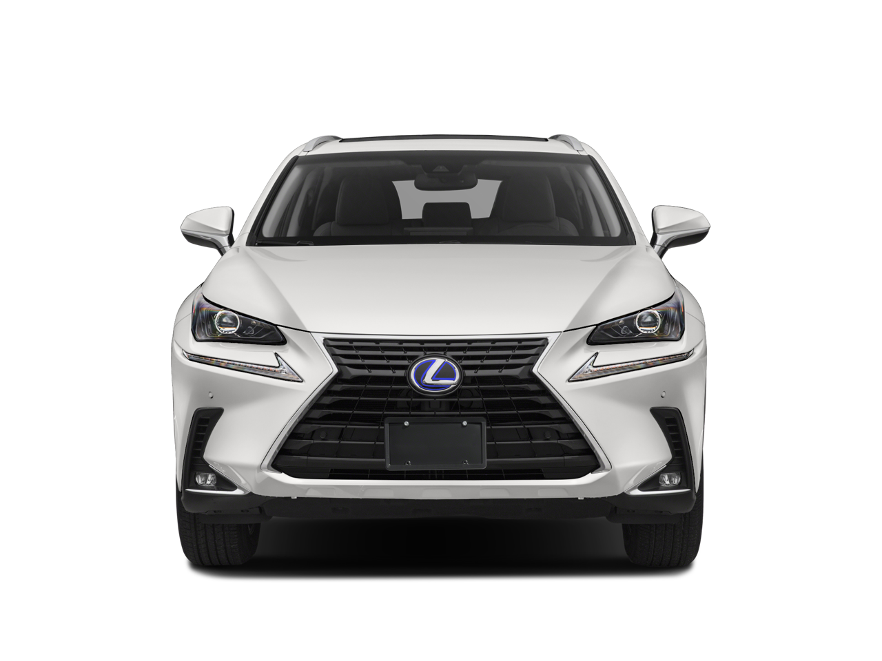2020 Lexus NX 300h Premium
