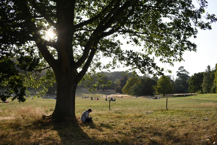 Man sitting under a tree with the plains in the background.
