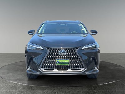 2024 Lexus NX 350h Luxury