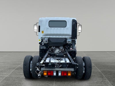 2025 Chevrolet Low Cab Forward 3500 MEDIUM ASH GRAY