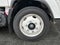 2025 Chevrolet Low Cab Forward 4500 MEDIUM ASH GRAY