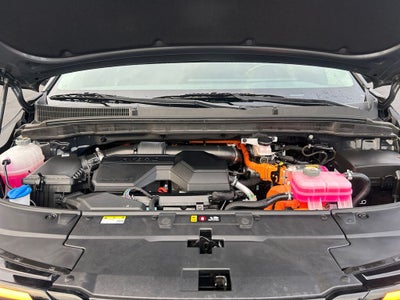 2025 Kia Carnival Hybrid LXS