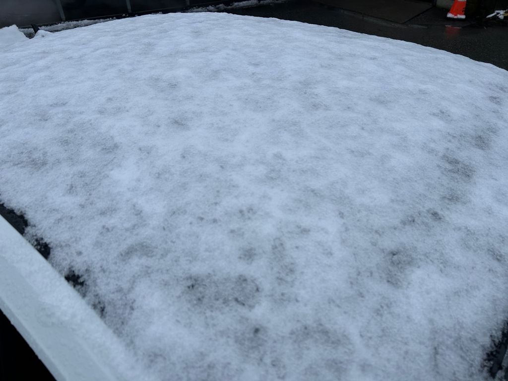 2019 Volkswagen Jetta GLI 35th Anniversary Edition