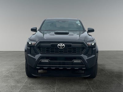2025 Toyota TACOMA TRD SPORT TRD Sport