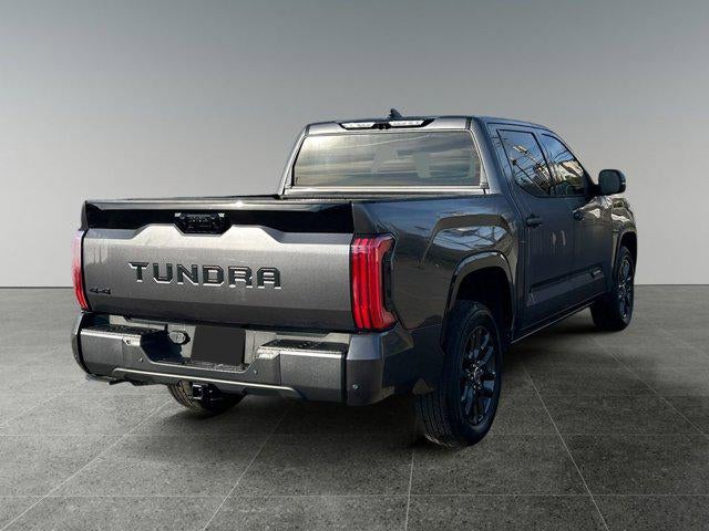 2023 Toyota TUNDRA 4X4 Platinum