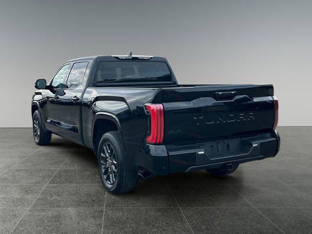2023 Toyota TUNDRA 4X4 Platinum