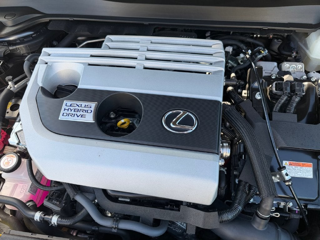 2019 Lexus UX 250h HyBrid AWD--1 Owner