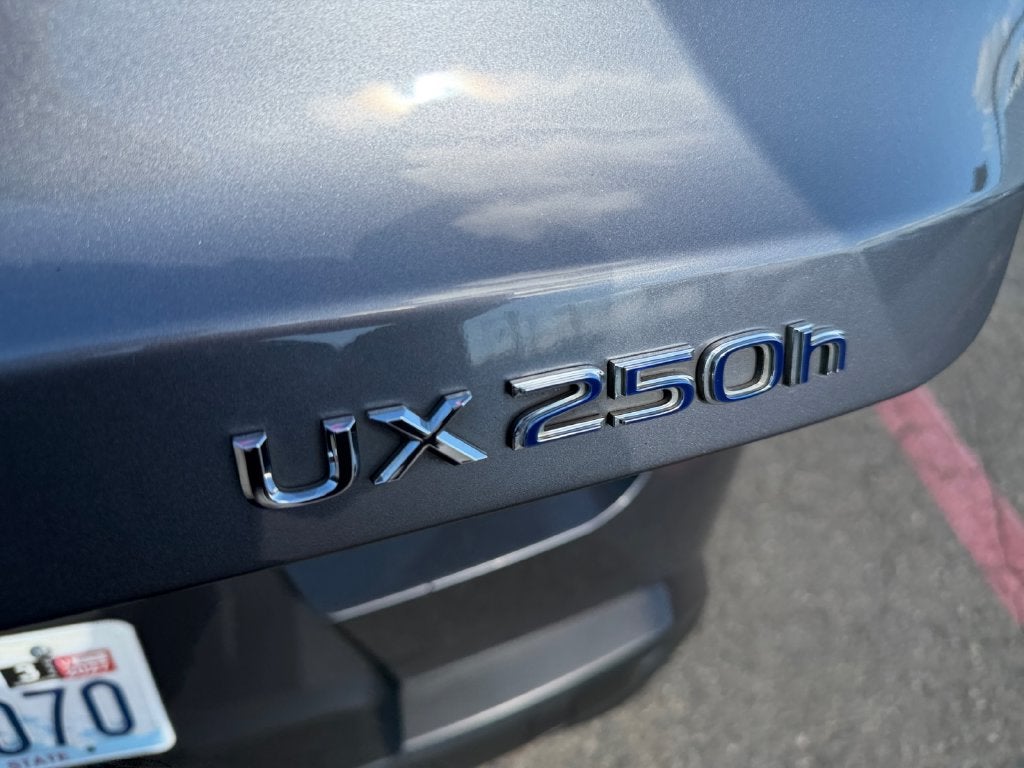 2019 Lexus UX 250h HyBrid AWD--1 Owner
