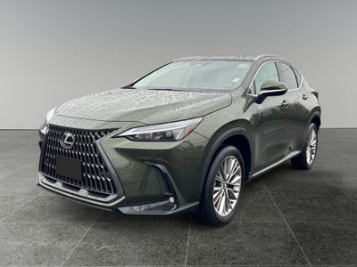 2025 Lexus NX 350h Premium