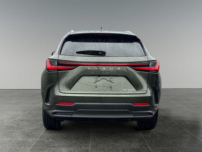 2025 Lexus NX 350h Premium